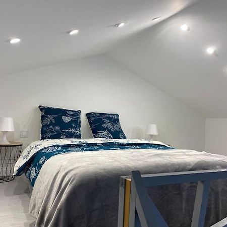 Logement Avec Mezzanine Tremblay-en-France المظهر الخارجي الصورة